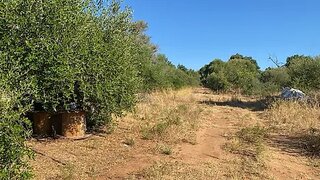 Land for sale in Albufeira, Portugal — €95,000