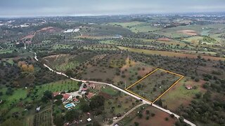 Terreno em Torres Novas · 5600 m² · 28 000 €