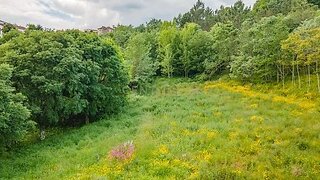 Land for sale in Marco de Canaveses, Portugal — €64,000