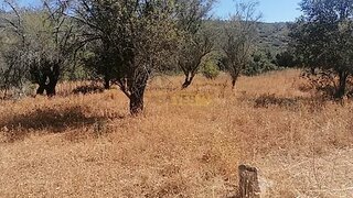 Land for sale in Loulé, Portugal — €40,000