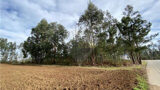 Land for sale in Águeda, Portugal — €60,000