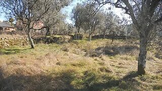 Land for sale in Nelas, Portugal — €40,000