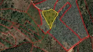 Land for sale in Tomar, Portugal — €17,500