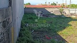 Land for sale in Vila Nova de Gaia, Portugal — €250,000