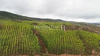 Land for sale in Nisa, Portugal — €290,000