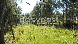 Land for sale in Ferreira do Zêzere, Portugal — €35,000
