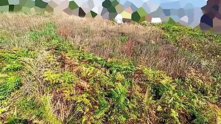 Land for sale in Valongo, Portugal — €200,000