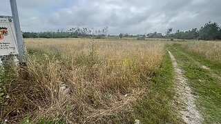 Terreno de 7000 m² em Leiria