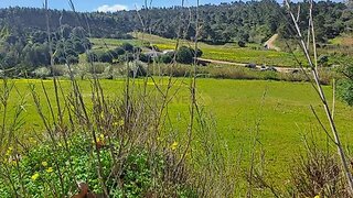 Land for sale in Lourinhã, Portugal — €35,000