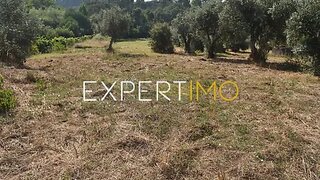 Terreno em Figueiró dos Vinhos