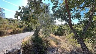 Terreno para venda em Tomar, Portugal — 15 000 €