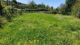 Land for sale in Arcos de Valdevez, Portugal — €39,000