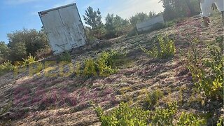 Land for sale in Cartaxo, Portugal — €17,500