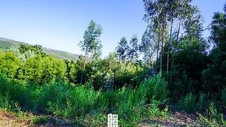 Land for sale in Oliveira de Azeméis, Portugal — €18,000
