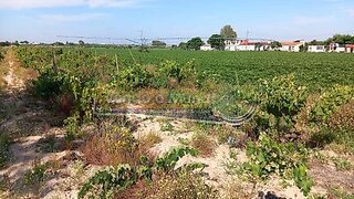 Land for sale in Almeirim, Portugal — €35,000
