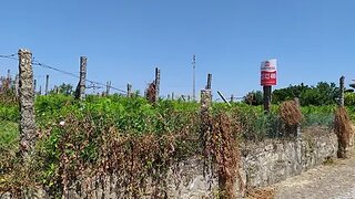 Land for sale in Barcelos, Portugal — €220,000