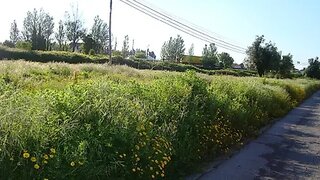 Land for sale in Águeda, Portugal — €55,000
