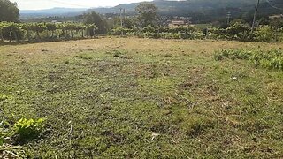 Land for sale in Ponte de Lima, Portugal — €30,000