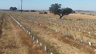Land for sale in Cuba, Portugal — €560,000