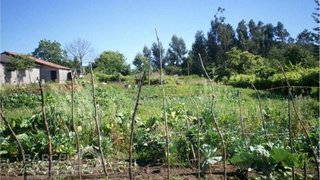 Land for sale in Barcelos, Portugal — €240,000