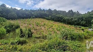 Land for sale in Mafra, Portugal — €29,000