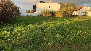 Land for sale in Torres Novas, Portugal — €65,000