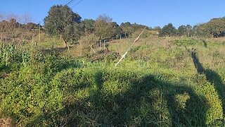 Land for sale in Bombarral, Portugal — €70,000