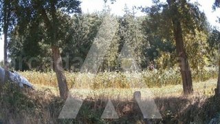 Land for sale in Aveiro, Portugal — €35,000