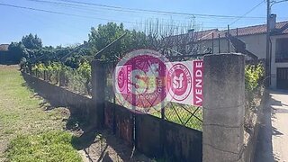 Land for sale in Anadia, Portugal — €38,000