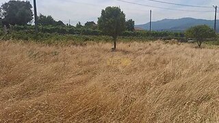 Terreno · 3248 m² · 57 000 €
