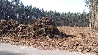 Land for sale in Águeda, Portugal — €70,000