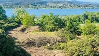 Land for sale in Caminha, Portugal — €115,000