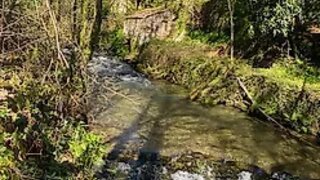 Land for sale in Sever do Vouga, Portugal — €25,000