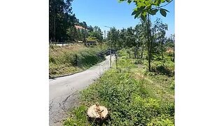 Land for sale in Sever do Vouga, Portugal — €75,000