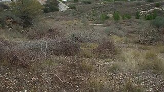 Land for sale in Condeixa-a-Nova, Portugal — €24,000