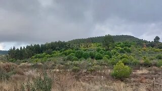 Land for sale in Penamacor, Portugal — €19,500