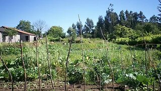 Terreno · 4000 m² · 240 000 €