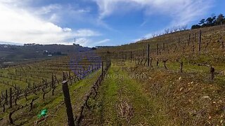 Land for sale in Lamego, Portugal — €1,200,000