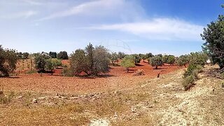 Land for sale in Olhão, Portugal — €225,000