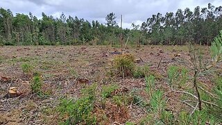 Land for sale in Alcobaça, Portugal — €250,000