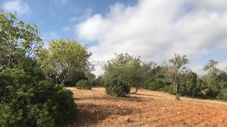 Land for sale in Albufeira, Portugal — €60,000