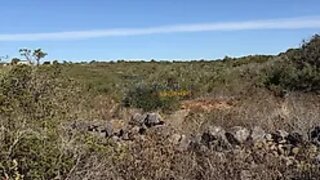 Land for sale in Lagos, Portugal — €156,000