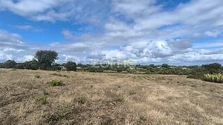 Land for sale in Cartaxo, Portugal — €170,000