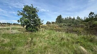Terreno de 5800 m² em Castelo Branco