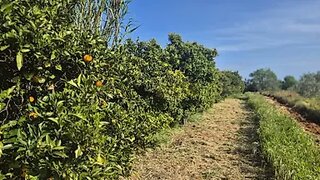 Land for sale in Olhão, Portugal — €66,250