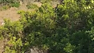 Land for sale in Albufeira, Portugal — €40,000