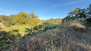 Terreno em Sesimbra · 8500 m² · 150 000 €
