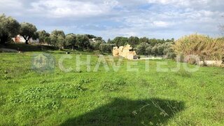 Land for sale in Tomar, Portugal — €75,000