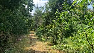 Terreno em Aveiro · 18 000 m² · 100 000 €