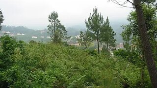Land for sale in Vila Nova de Cerveira, Portugal — €75,000
